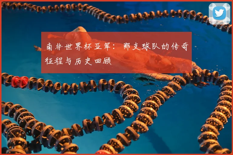 南非世界杯亚军:那支球队的传奇征程与历史回顾