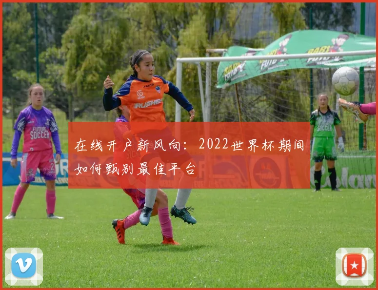在线开户新风向:2022世界杯期间如何甄别最佳平台